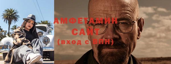 прущие грибы Новодвинск