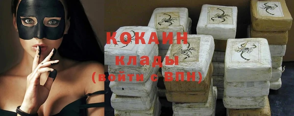 прущие грибы Новодвинск
