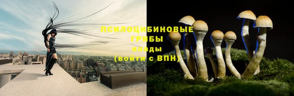 первитин Новокубанск
