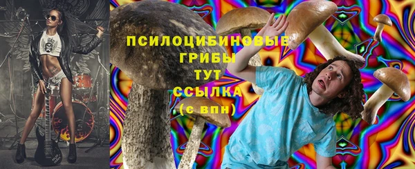 МДПВ Новозыбков