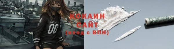 прущие грибы Новодвинск