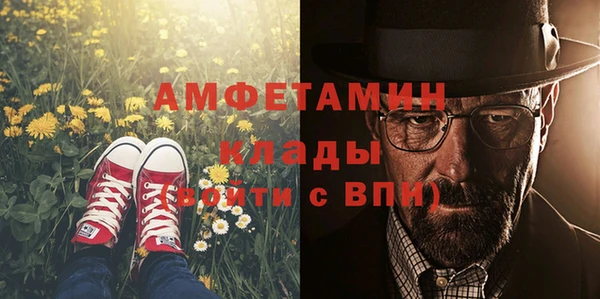 прущие грибы Новодвинск