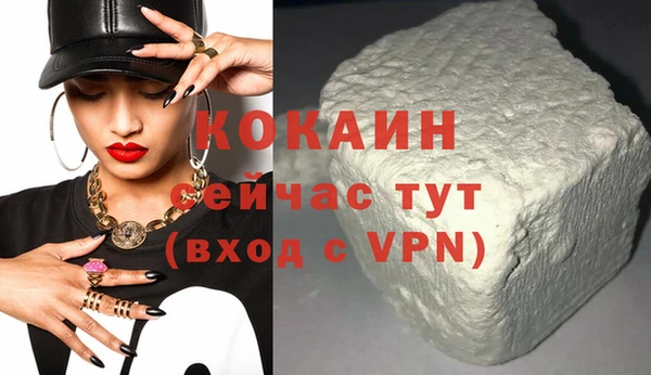 прущие грибы Новодвинск