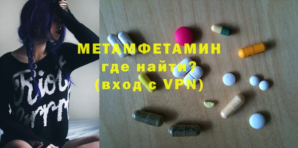 прущие грибы Новодвинск