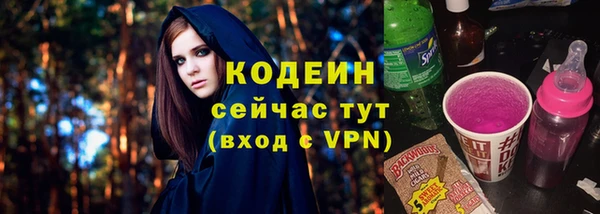 прущие грибы Новодвинск