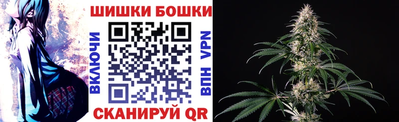 Конопля сатива  дарнет шоп  Балей 